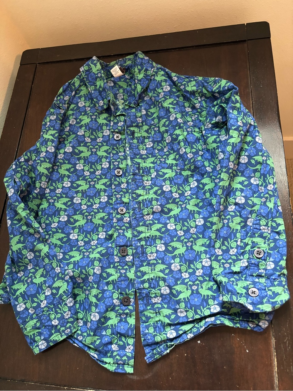 Tea Collection Blue & Green Dragon Floral Button-Down Shirt